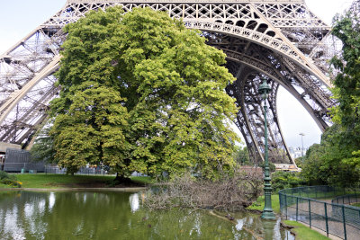 La Tour Eiffel