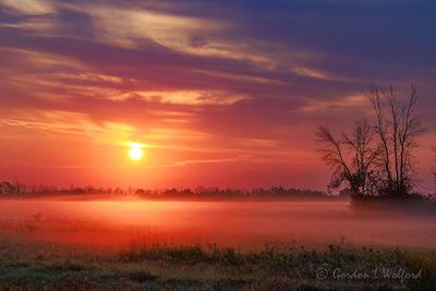 Sun Rising Beyond Ground Fog 90D127867