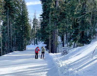 Snowshoeing Glacier Point Road