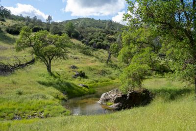 Orestimba Creek