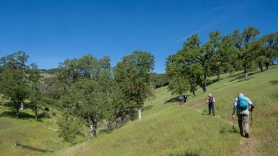 Hiking up the Alquist Trail