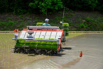 Rice Transplanter