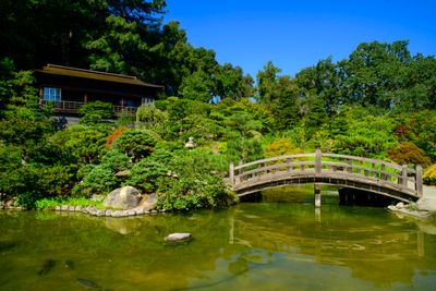 Hakone Gardens