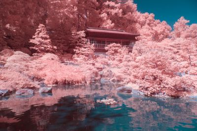 In Infrared