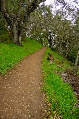 Green Trail