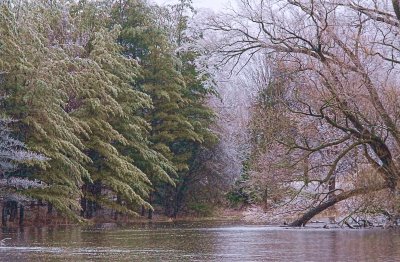 Ice Storm