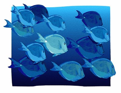 Schooling Fish