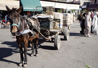 Local transport