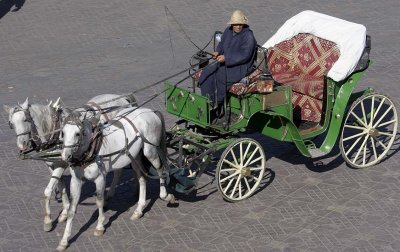 Transport of tourists