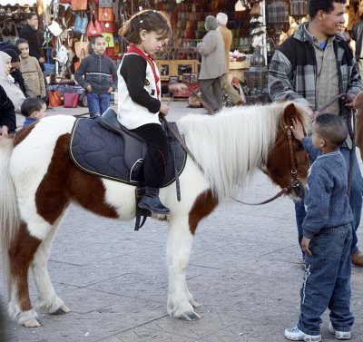 Donkey ride