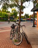 Bike Security