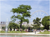 Jardins des Tuileries