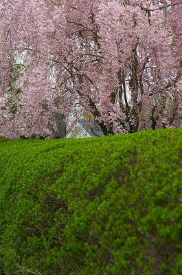 hastings_on_hudson