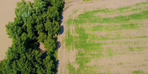 flooded crops