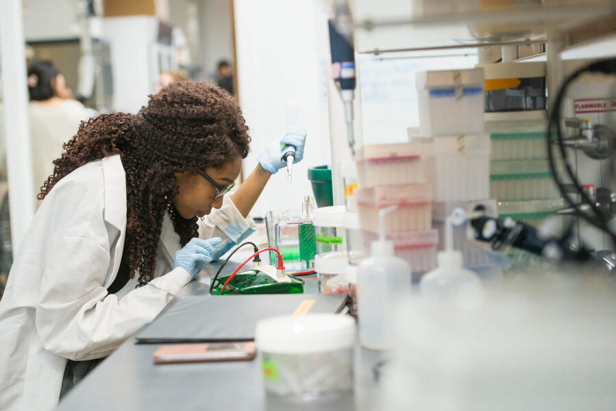 Student making an investigation at a lab. 