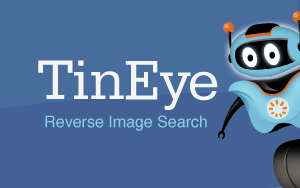 TinEye Reverse Image Search