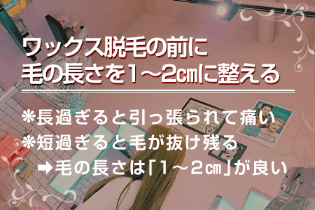 5-4.毛の長さを1～2㎝に整えておく