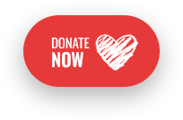 Donate Now Button