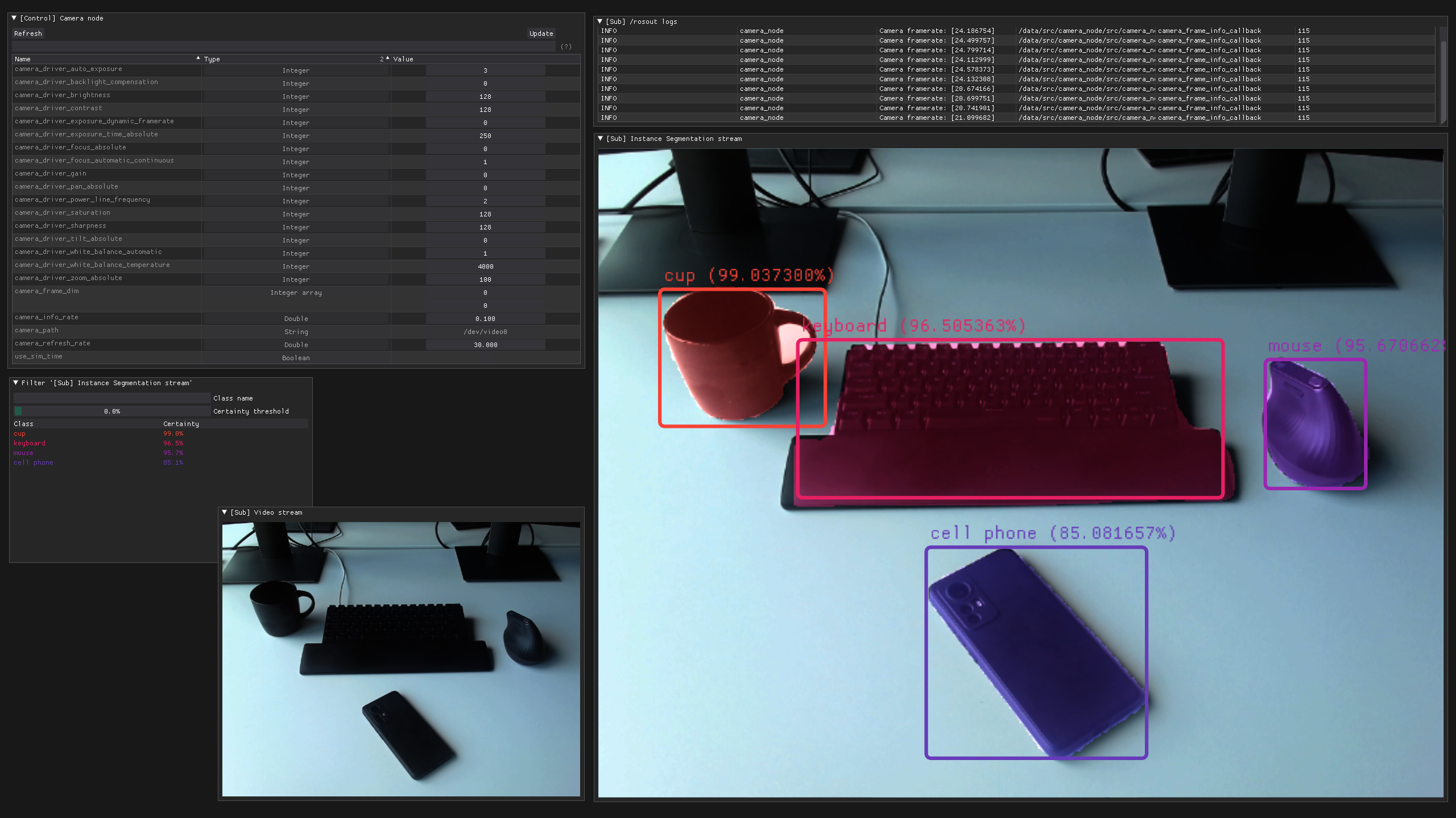 Instance segmentation demo