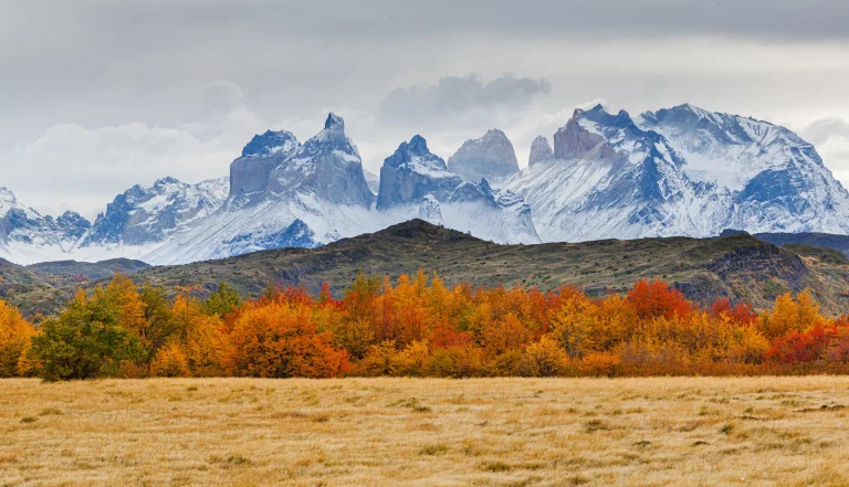 Panoramic image of an autumn landscape in the mountains: the Paine mountain range with the jagged peaks of Los Cuernos in southern Chile