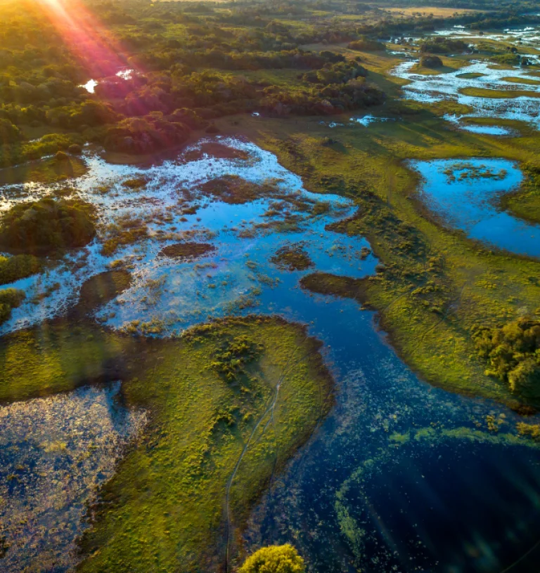 Pantanal photographed in Corumbá