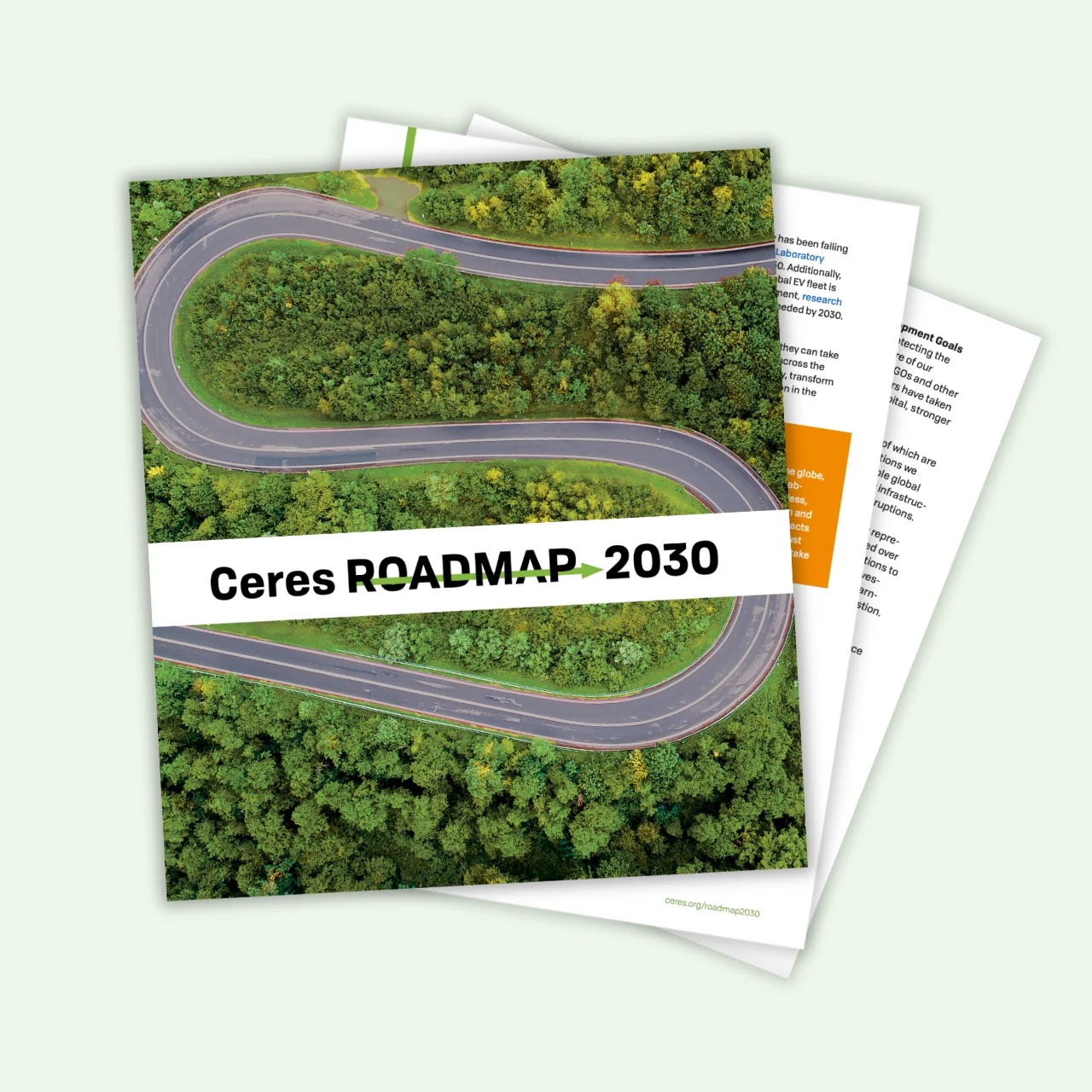 Thumbnail of the Roadmap 2030 report