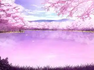 sakura sadddas