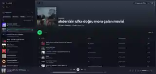 Spotify Catppuccin