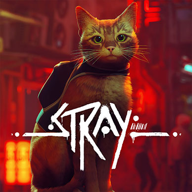 Ключевое изображение из игры Stray