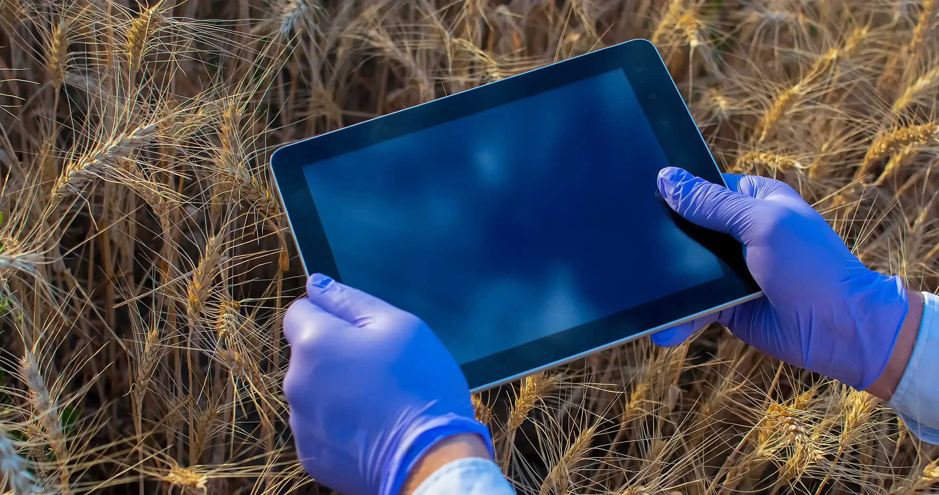 Gloved hands holding a tablet in a field, utilizing the Apex Real Time Environmental Management Information System, ARTEMIS®, to collect and manage data collection.