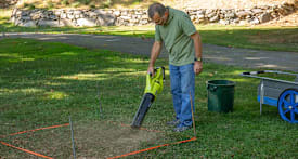 Best Leaf Blowers