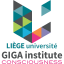 @GIGA-Consciousness