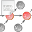 @mrpt-ros-pkg-release