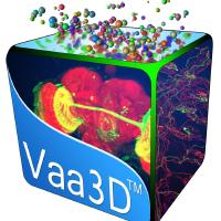 @Vaa3D