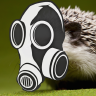 @pyrohedgehog