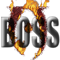 @boss-developers