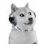 @DogeHouseBots