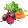 @CarrotRub