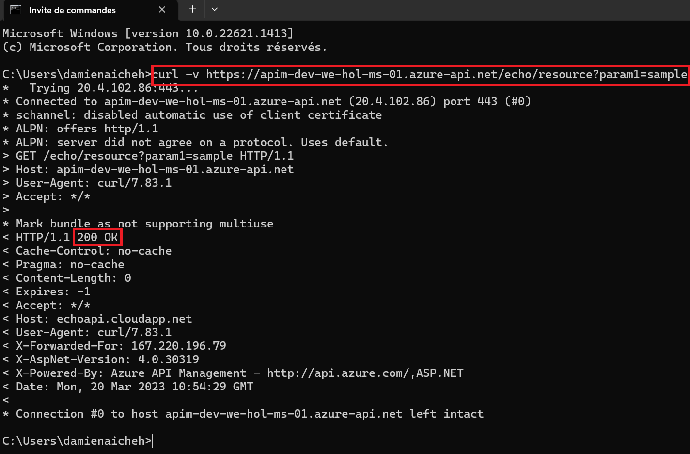 APIM Echo API Curl Success