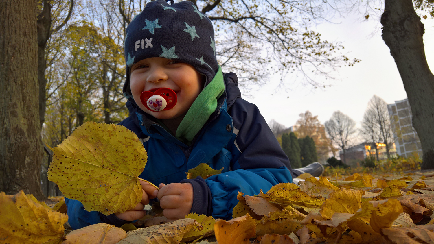 Lumia-Imaging_Kid-with-Leaf2