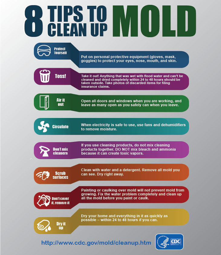 8 Tips to Clean Up Mold