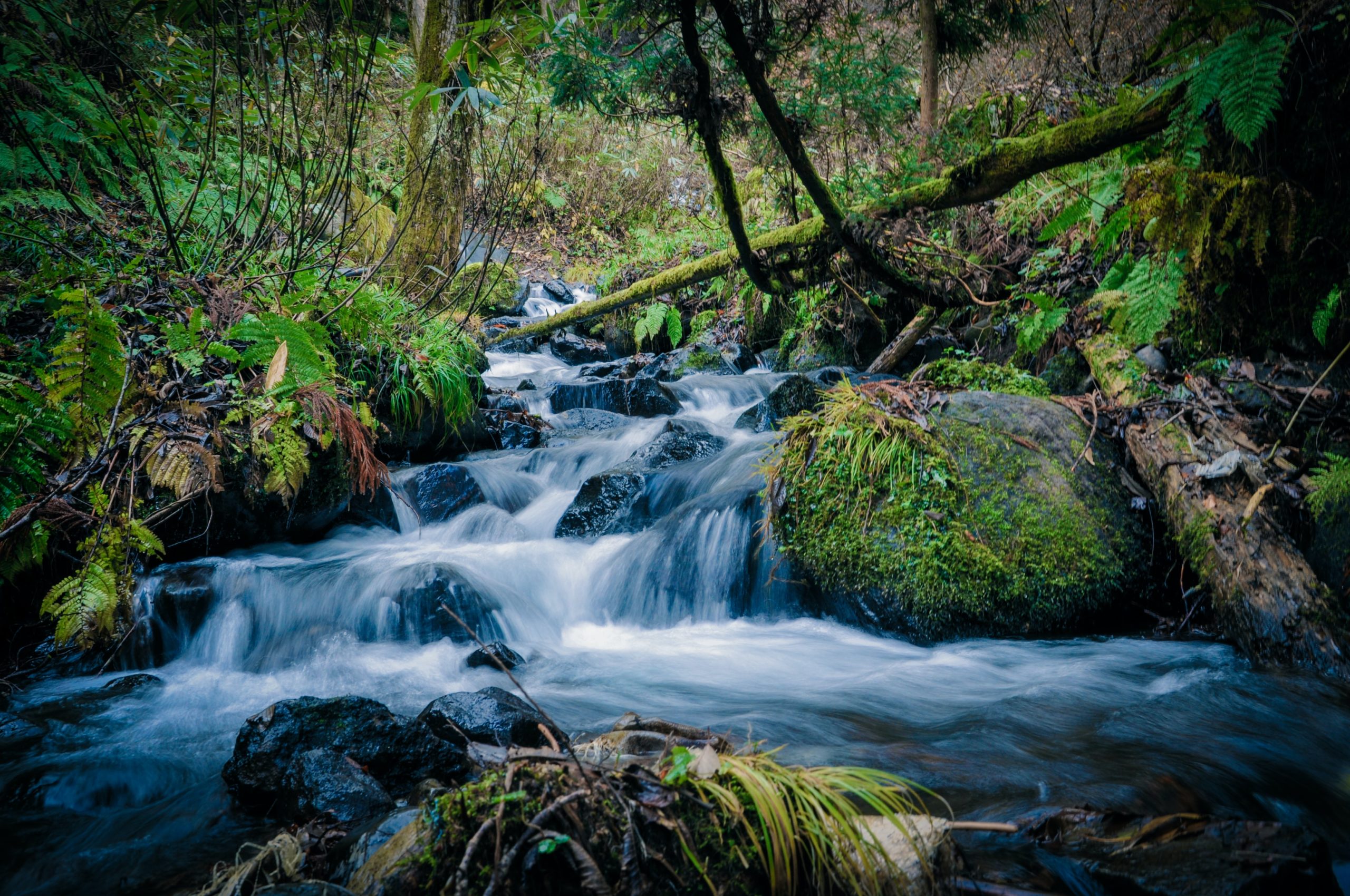 Water rushing into stream