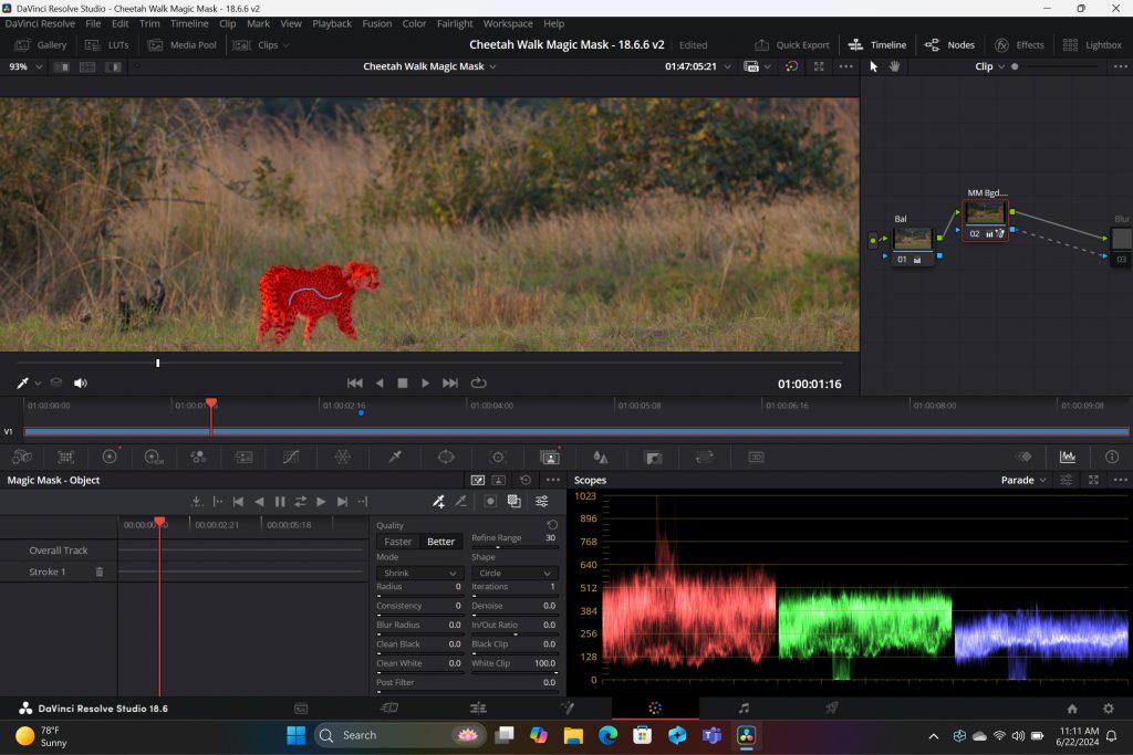 DaVinci Resolve Studio screenshot