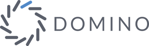 %s logoDomino Data Lab