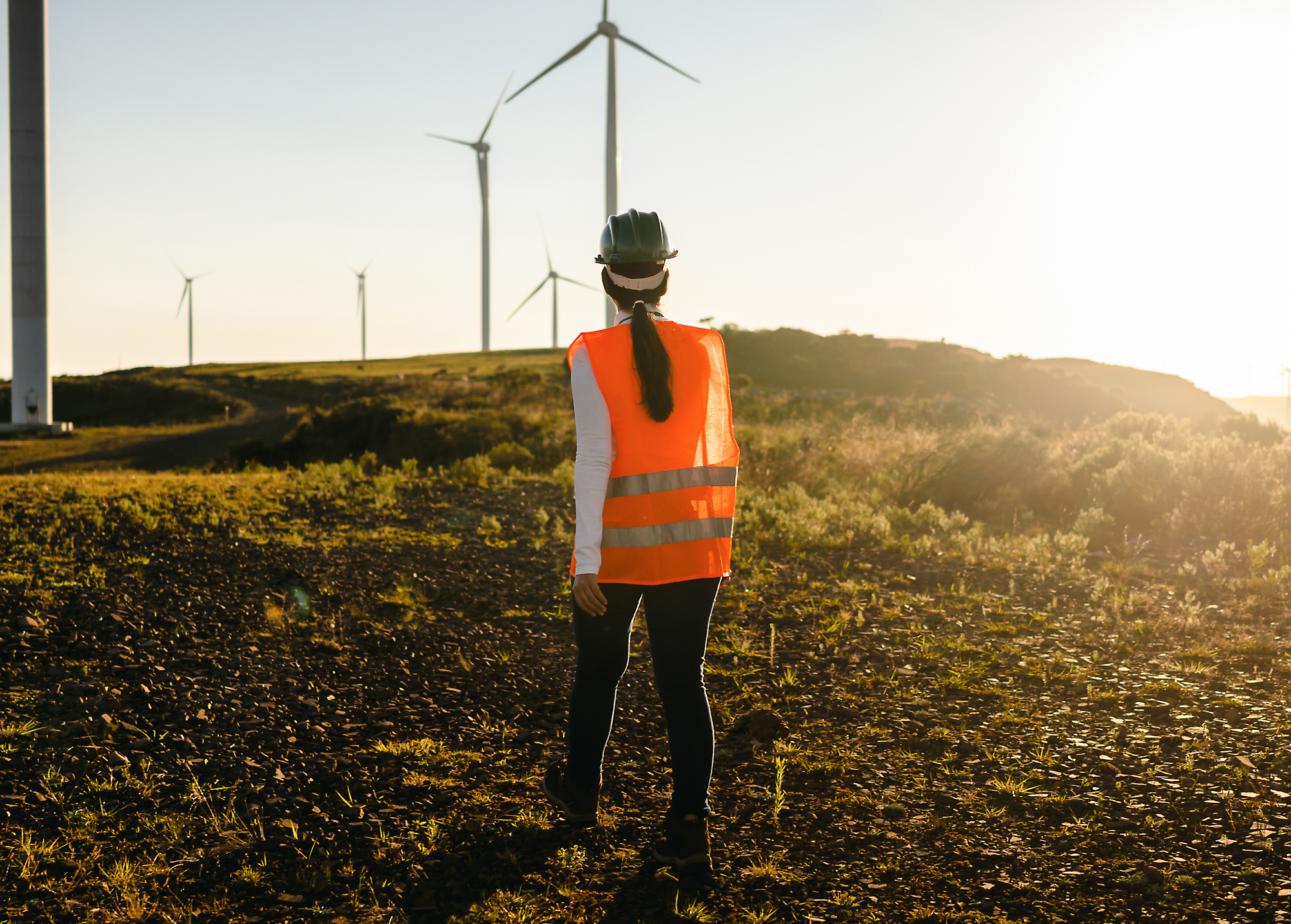 A person wearing an orange safety vest and helmet is walking in a grassy area with wind turbines in the background.