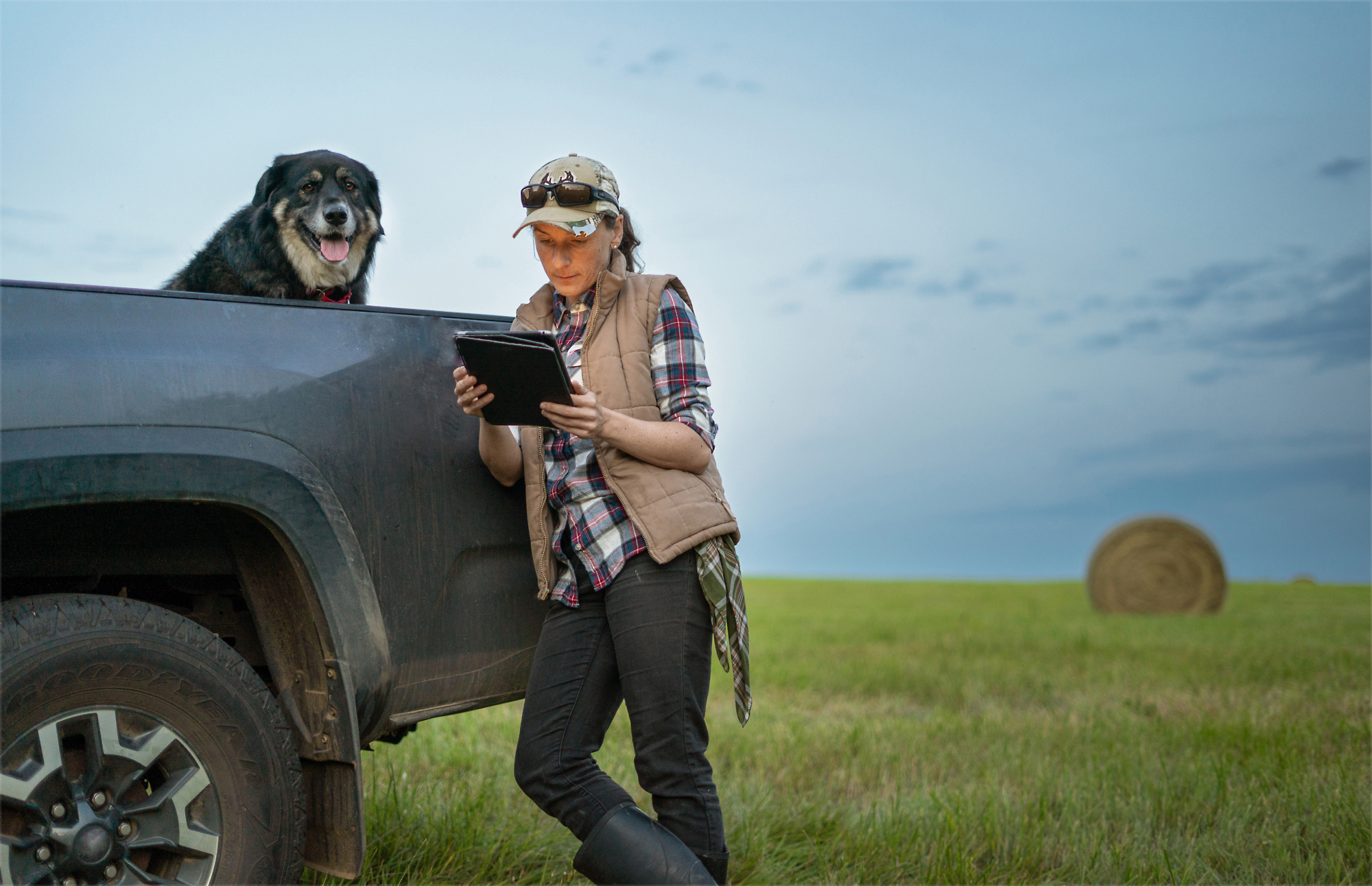 A person in outdoor attire leans against a truck, holding a tablet, with a dog sitting on the back of the truck.