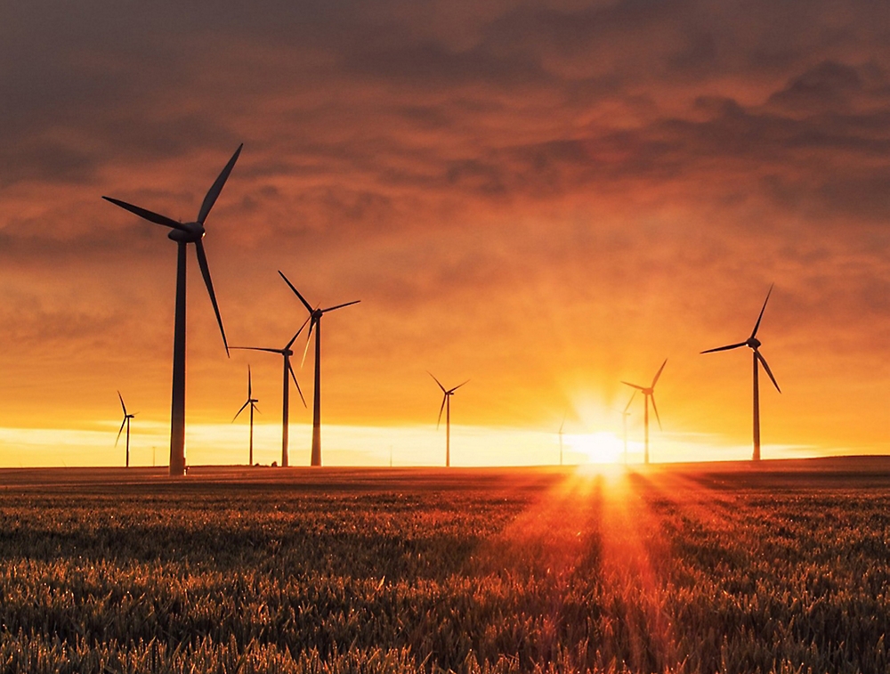 Wind turbines stand in a field, silhouetted against a vibrant sunset.