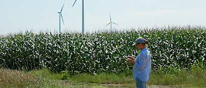 A person standing in a field of corn watching mobile
