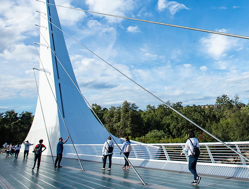 People walking on a modern suspension bridge with white sail-like structures, surrounded by trees