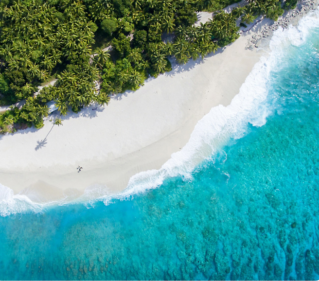 Een strand met bomen en blauw water